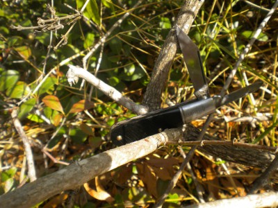 lot11.29.12 065.JPG