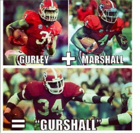 GURSHALL.jpg