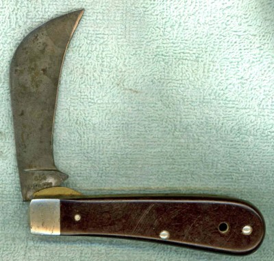 Western Hawkbill pile side.jpg
