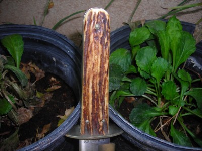 case bowie 004.jpg