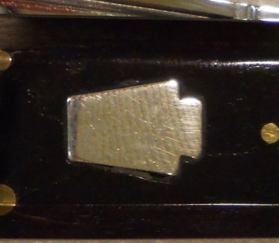S&M shield.jpg