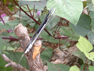 Dwight's Millie frame lock conversion 004.jpg