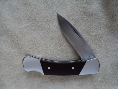 Buck 500 (2).JPG
