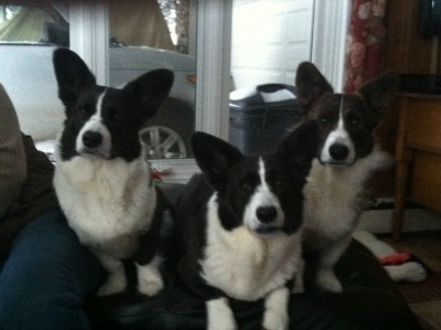 some of my kids