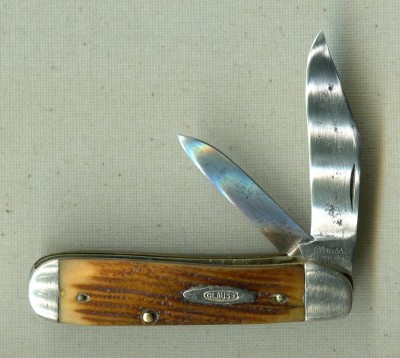 Clauss-winterbottom bone.jpg