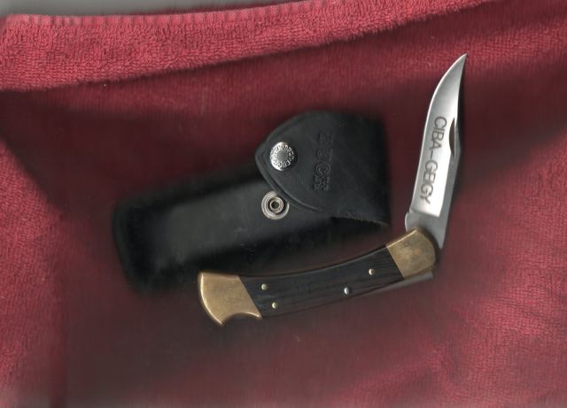 Buck110CIBA-GEGY.JPG