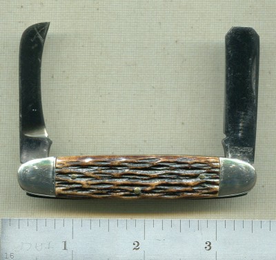 Kutmaster Grafting Acorn shield1.jpg