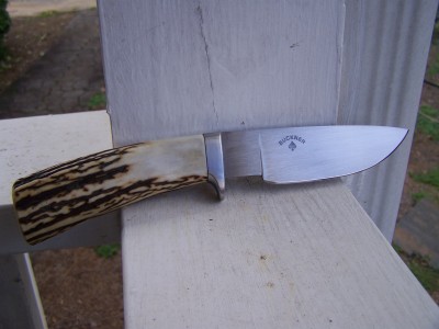 BuchnerSkinner 004.JPG