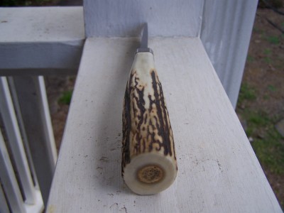 BuchnerSkinner 011.JPG
