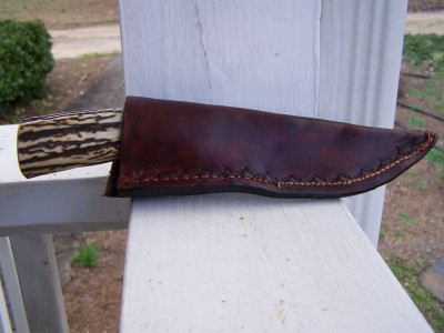 BuchnerSkinner 002.JPG