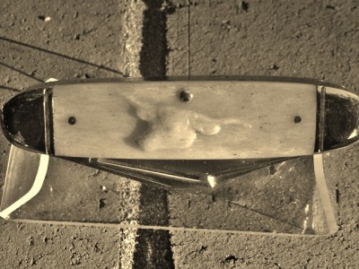 005.JPG