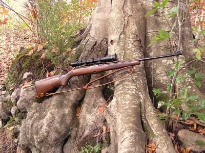 M88 284 WIN 11-21-09.jpg