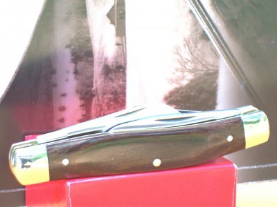 Cam884RvC.jpg
