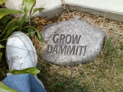 Grow Dammit.jpg