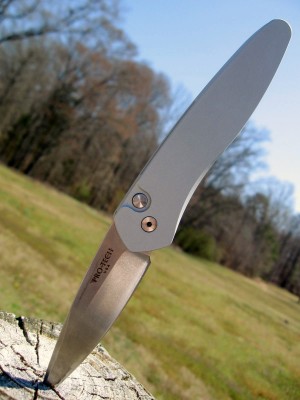 Protech Newport Automatic (F).JPG