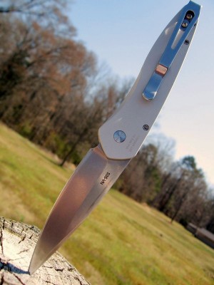 Protech Newport Automatic (B).JPG