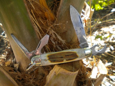 Imperial ELK Handle Scout Knife 010.JPG