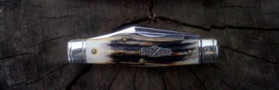 IMAG0333.JPG