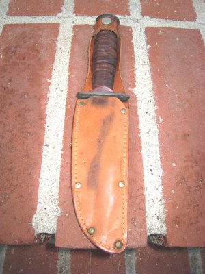 KnifeinScabbard.jpg