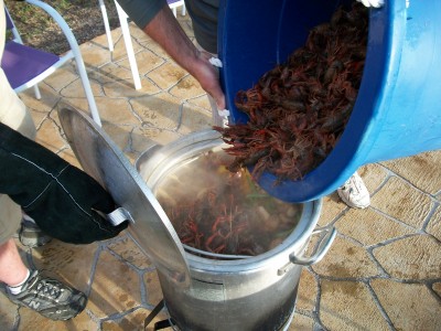 In go the crawfish