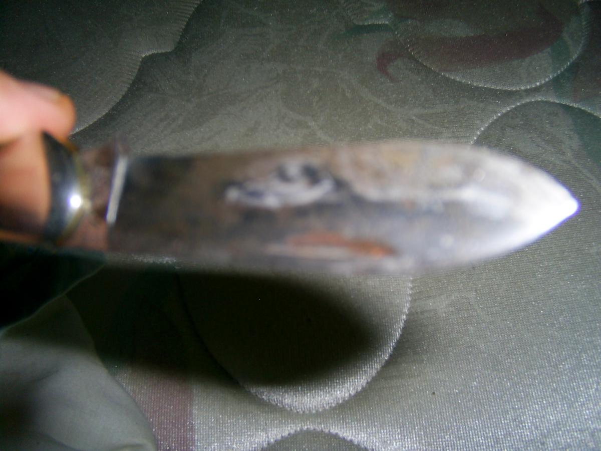 Photo010.JPG