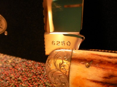 SANY0233.JPG