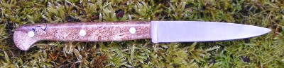 Paring knife 2.jpg