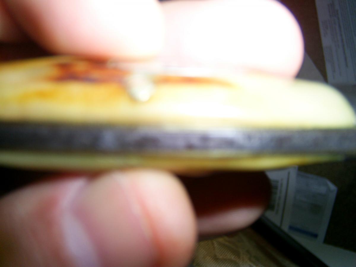 Photo019.JPG