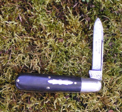 Ebony Ulster Jack by Dale Vincent (Orvet).jpg