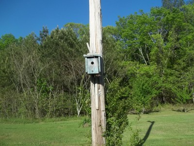 RR-834uh 012.jpg