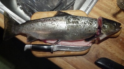 2013-04-23_19-41-35_426.jpg