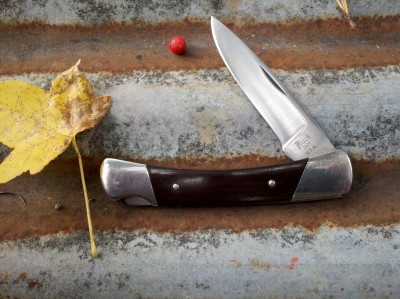 Buck 501 (1).jpg