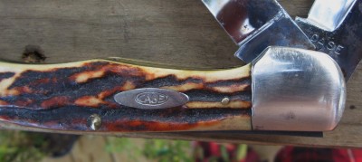 65redstag 014.JPG