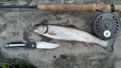 2013-05-18_18-55-49_585.jpg