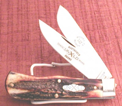 ge 73 stag scout.JPG