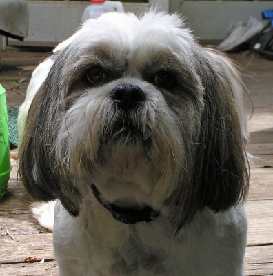 Gus 5-13 b.jpg