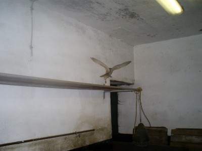 S5030584.JPG