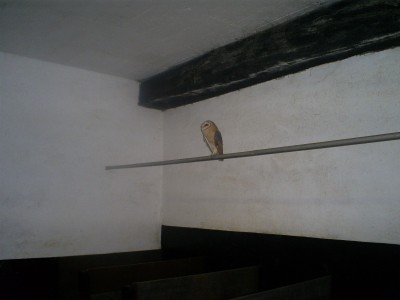 S5030583.JPG