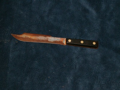 knife and new guitar 003.jpg