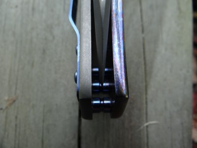 DSC01100.JPG