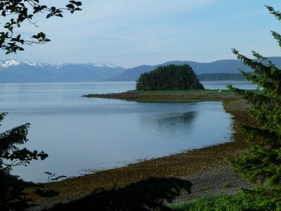Auke Rec.JPG