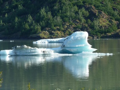 Ice in Mendenhall Lake.JPG