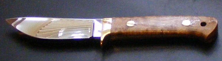 EstesSemiSkinner.jpg