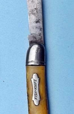 DSCF5248.JPG