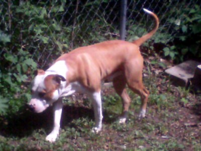 IMAG0357.JPG