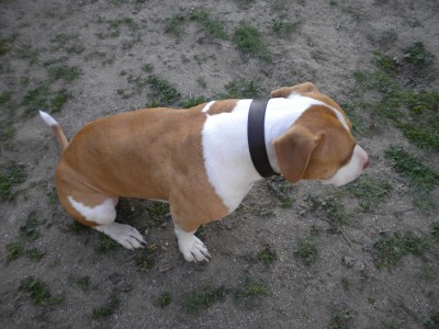 THIS IS HIS...."I'M DONE WITH PIX NOW" FACE...