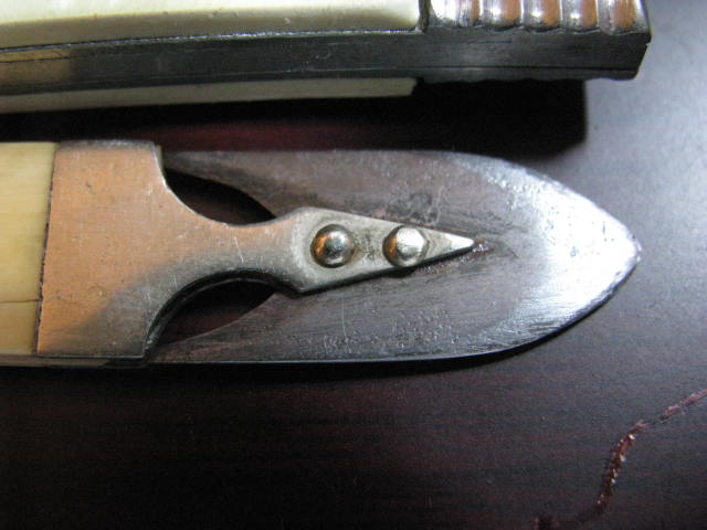 Quills4.jpg