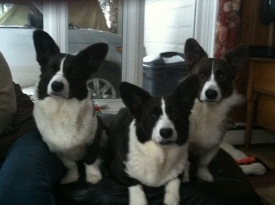 Jessa.  Jolie.  Schooner.