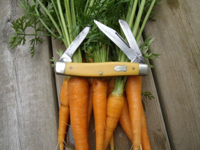 carrots 004.jpg
