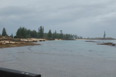 DSC_0078.JPG